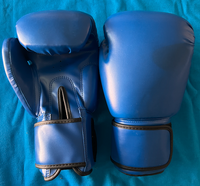 MUAY THAI / BOXING GLOVES